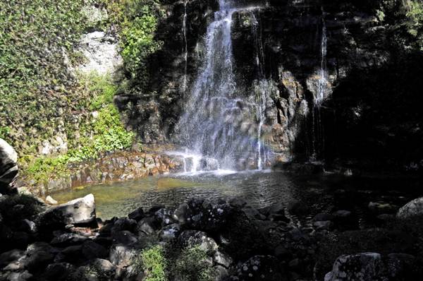 Minnamurra Falls (7/03/2013 11:43:34 PM)