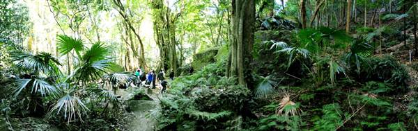 Mount Keira Scout Camp File 1 (8/03/2013 10:05:26 AM)