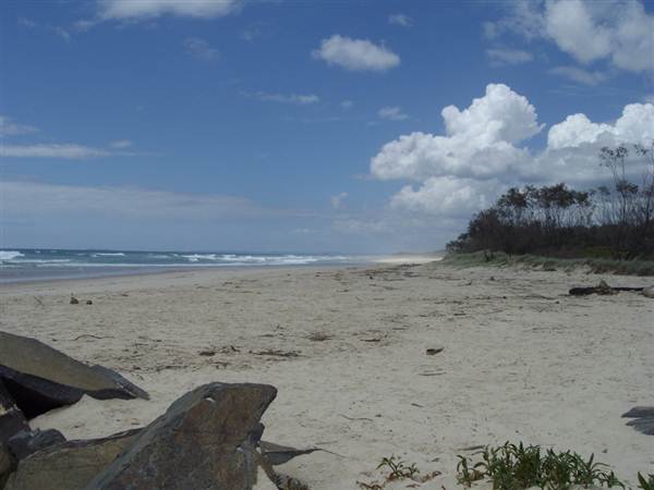 Pottsville Beach (8/03/2013 10:44:50 AM)