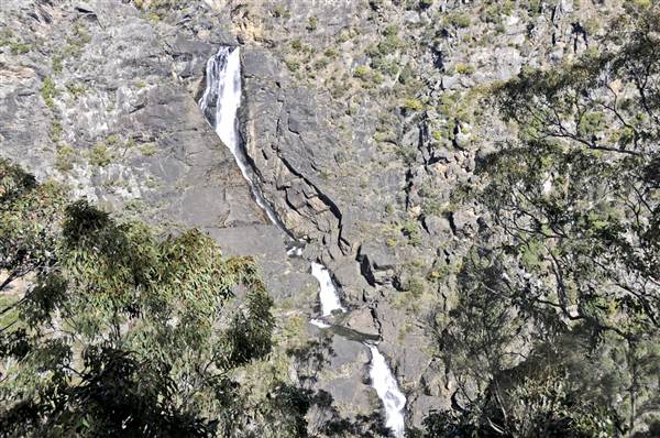 Tia Falls (9/03/2013 1:15:11 AM)