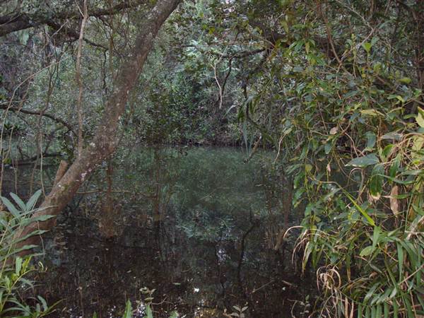 Stotts Island Nature Reserve (9/03/2013 1:38:01 AM)