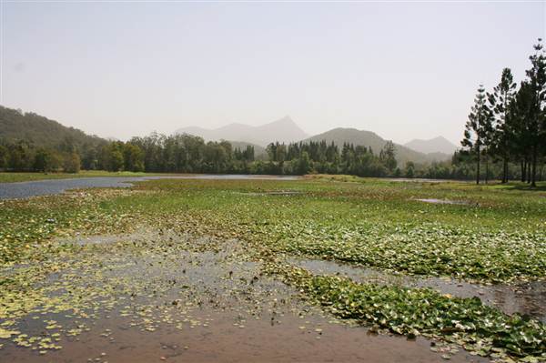 Clarrie Hall Dam (9/03/2013 1:51:03 AM)