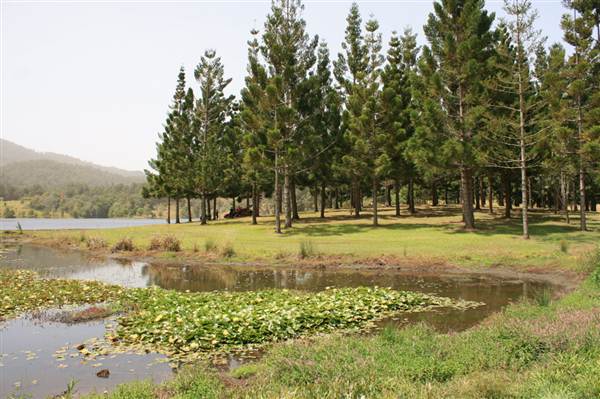 Clarrie Hall Dam (9/03/2013 1:53:18 AM)
