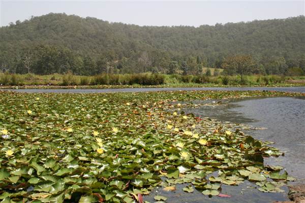 Clarrie Hall Dam (9/03/2013 1:54:13 AM)
