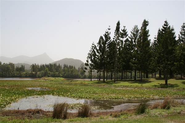 Clarrie Hall Dam (9/03/2013 1:55:08 AM)