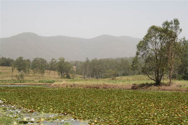 Clarrie Hall Dam (9/03/2013 1:55:49 AM)