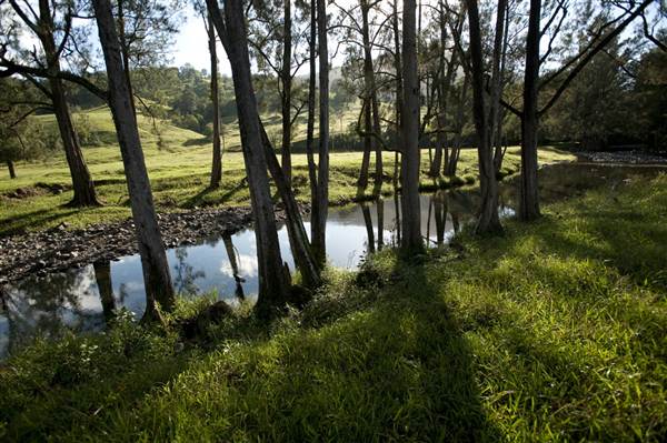 Tweed Valley 1 of 2 (9/03/2013 1:57:05 AM)