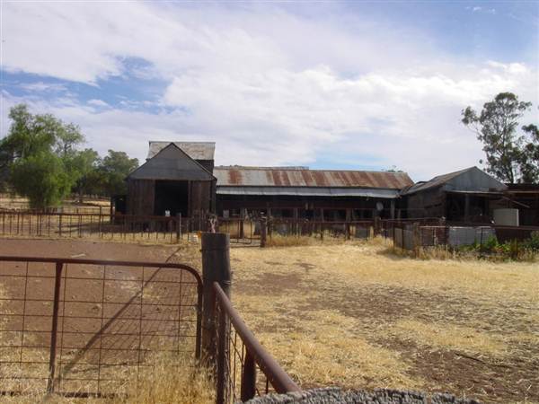 The Springs Homestead - Dubbo (9/03/2013 11:02:15 AM)