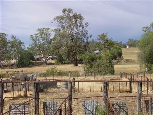 The Springs Homestead - Dubbo (9/03/2013 11:03:36 AM)
