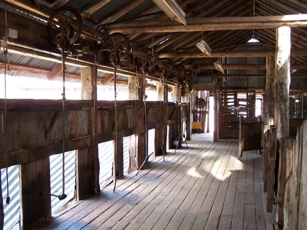 The Springs Homestead - Dubbo (9/03/2013 11:04:06 AM)