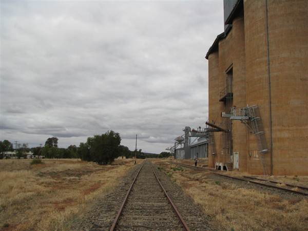 Weethalle (9/03/2013 11:09:06 AM)