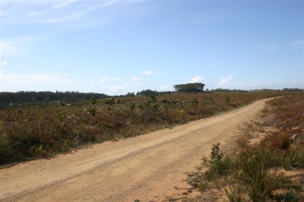 Penrose State Forest - Southern Highlands (9/03/2013 8:04:15 PM)