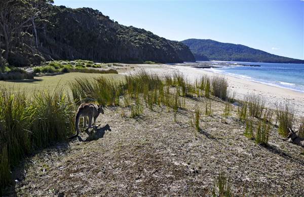 Pebbly Beach (9/03/2013 8:06:47 PM)