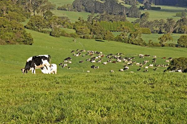Robertson - Southern Highlands (9/03/2013 8:14:33 PM)