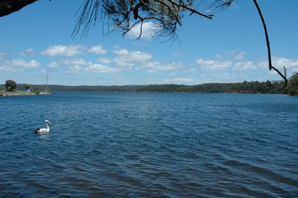 Wallaga Lake Bridge (10/03/2013 12:46:22 PM)