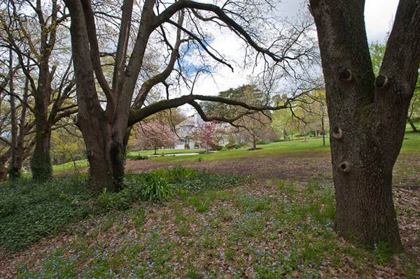 Parklands Country Garden & Lodges (10/03/2013 2:38:16 PM)