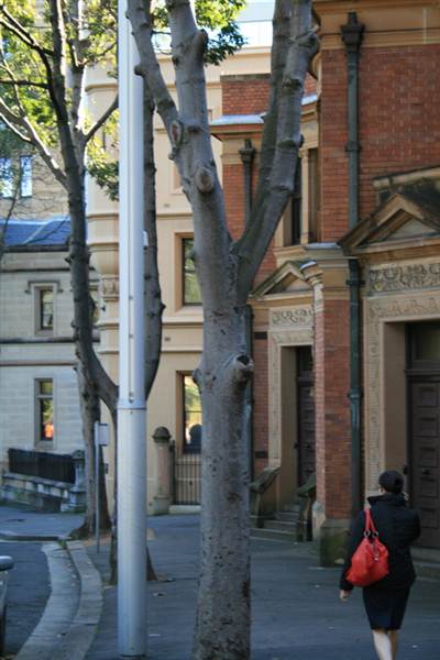 Sydney CBD - Macquarie Street (10/03/2013 10:00:09 PM)
