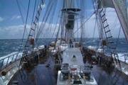 Young Endeavour (10/03/2013 11:49:18 PM)