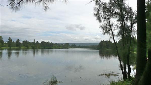Yarramundi Reserve South (11/03/2013 11:02:41 AM)