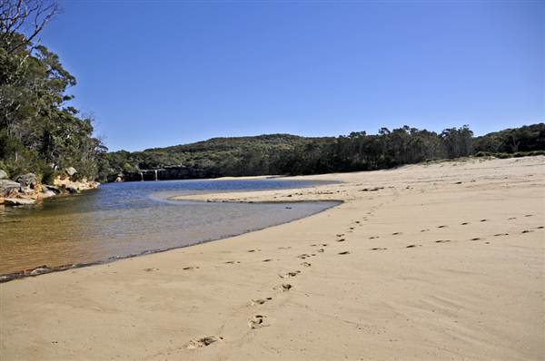 Wattamolla Beach (11/03/2013 12:58:24 PM)