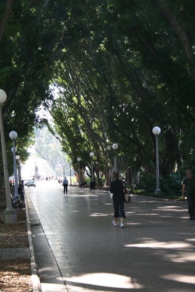 Hyde Park and Archibald Fountain - Sydney CBD (11/03/2013 1:09:12 PM)