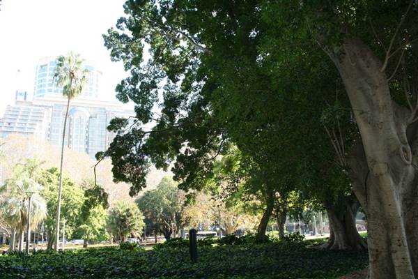 Hyde Park and Archibald Fountain - Sydney CBD (11/03/2013 1:09:37 PM)