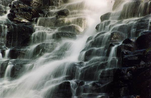 Tristania Falls - Dorrigo National Park (11/03/2013 2:55:40 PM)