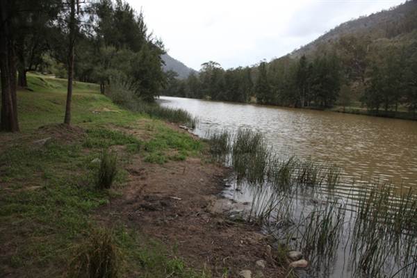 Wollondilly River Station (11/03/2013 2:58:56 PM)
