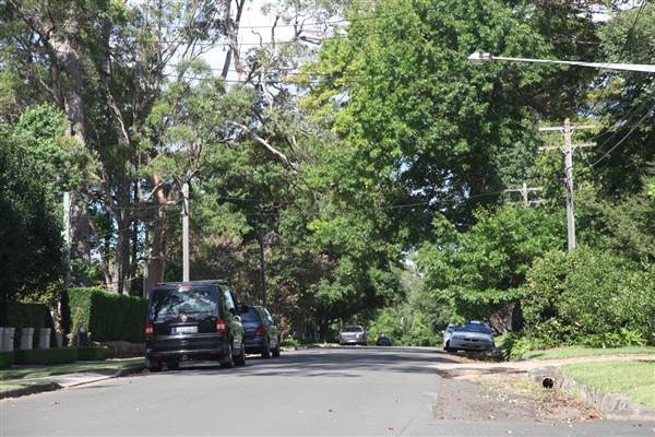 Braeside St - Pymble (13/03/2013)
