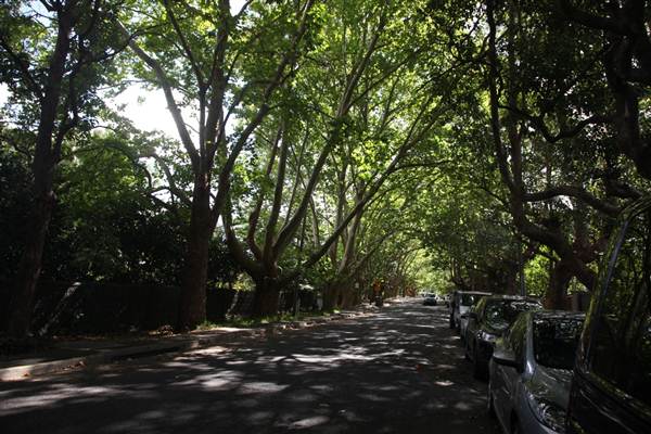 Water St - Pymble (13/03/2013)