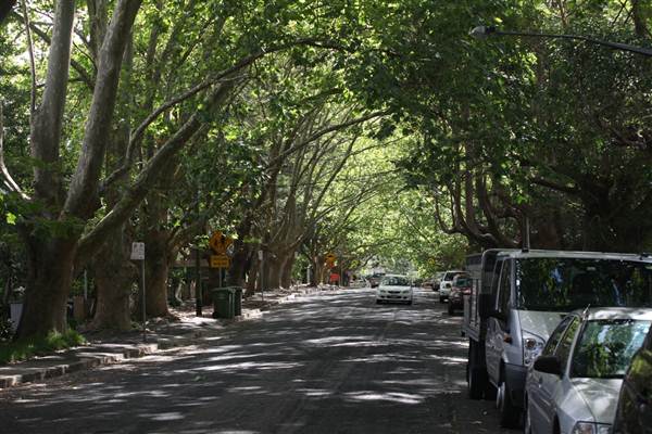 Water St - Pymble (13/03/2013)