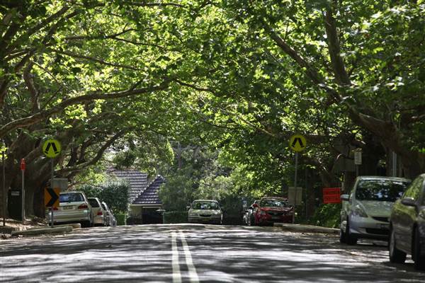 Water St - Pymble (13/03/2013)