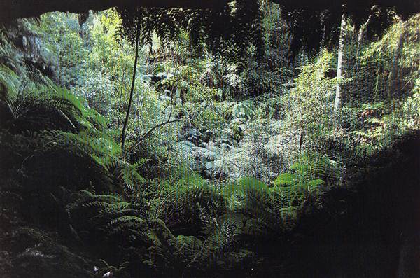 Blue Mountains National Park (24/04/2013)