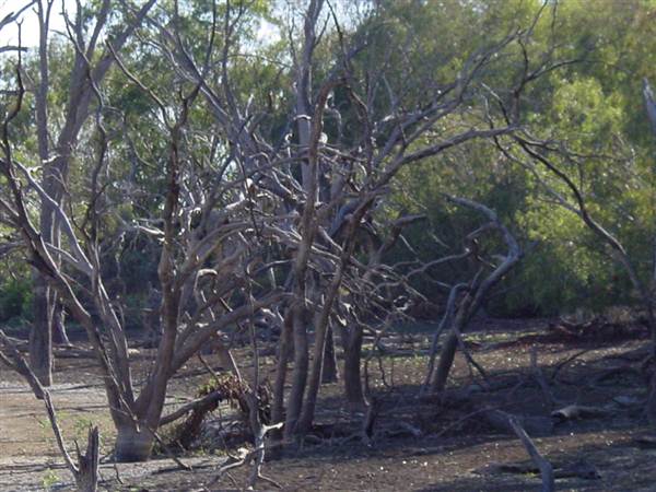 Broken Hill (24/04/2013)