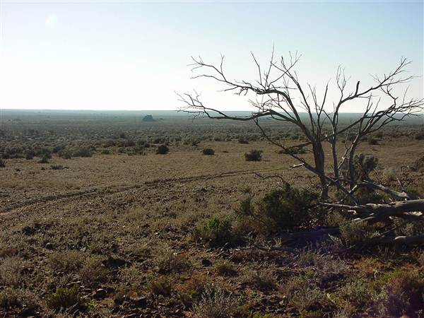 Farmcote Station - Broken Hill (26/04/2013)