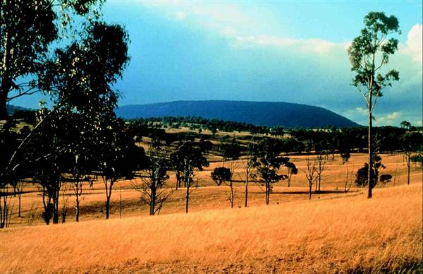 Armidale (26/04/2013)