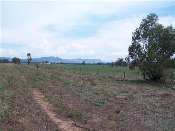 Baradine to Coonabarabran road (26/04/2013)
