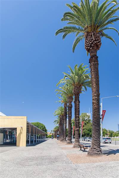 Sydney Showground - Amenities (13/06/2013)