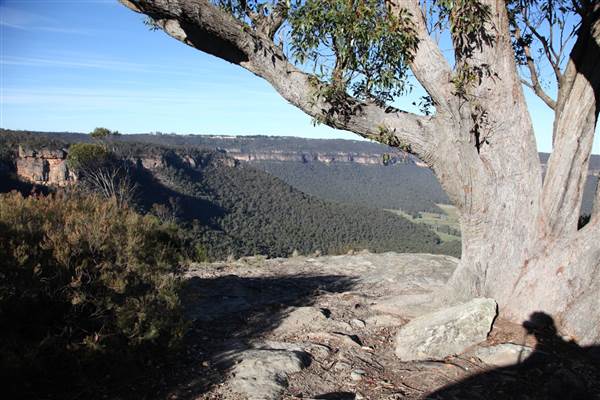 Hargraves Lookout - Shipley Plateau (18/06/2013)
