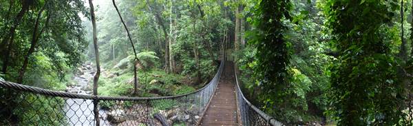 Minnamurra Rainforest Walk (28/02/2011 - Credits: Tony Brown/SISE)