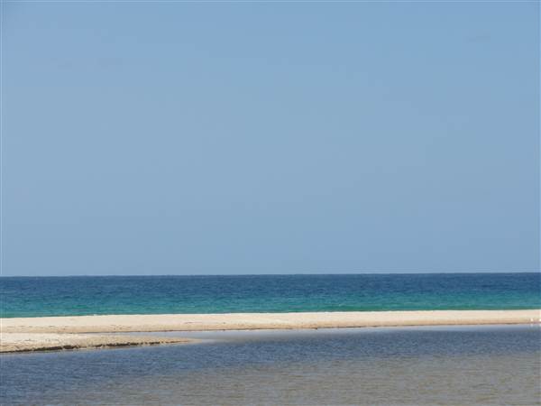 Shellharbour - The Shallows Coastal Reserve - Shellharbour South Beach (15/09/2011 - Credits: Tony Brown /SISE)
