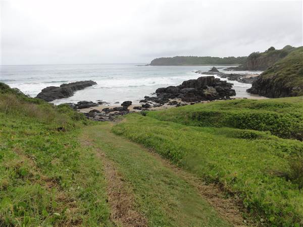 Bombo (28/02/2011 - Credits: Tony Brown /SISE)