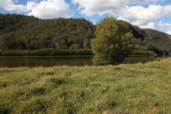 Freemans Reach (17/07/2013)