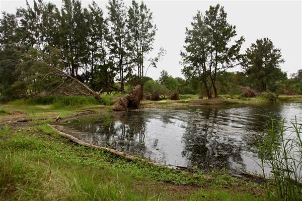 Yarramundi Reserve (17/07/2013)