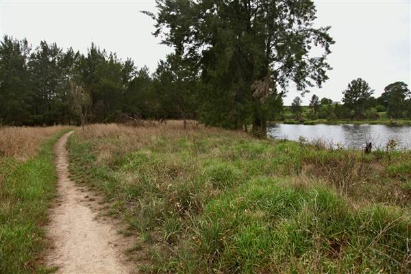 Yarramundi Reserve (17/07/2013)