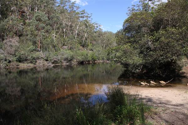 Georges River Nature Reserve (17/07/2013)