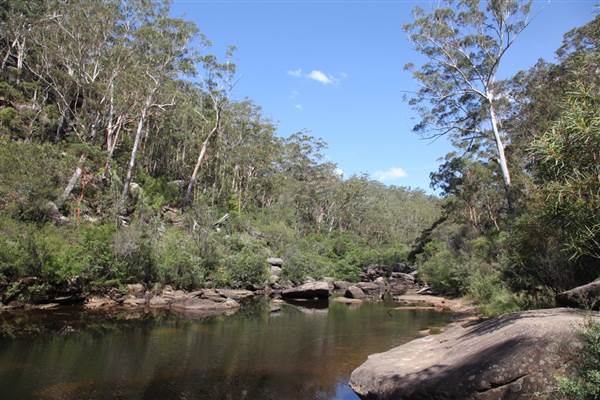 Georges River Nature Reserve (17/07/2013)
