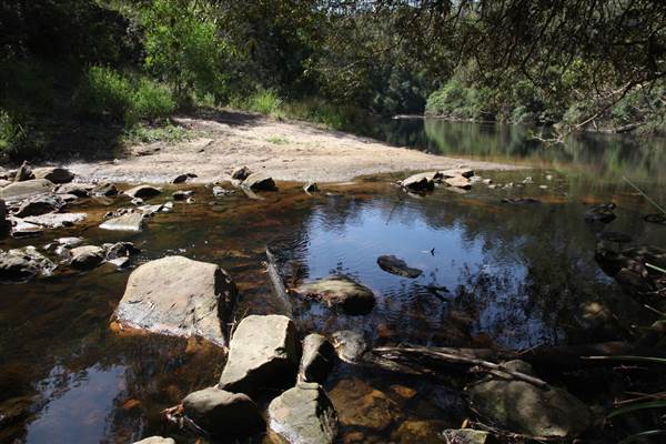 Georges River Nature Reserve (17/07/2013)