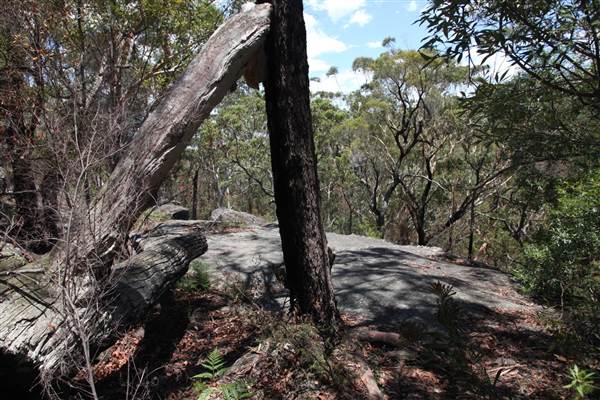 Ted Horwood Reserve (17/07/2013)