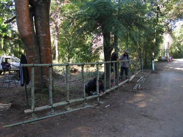 Private Properties - Bamboo, Jungle, Exotic, Forest (26/11/2013)